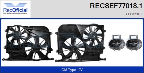 RECSEF77018.1