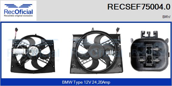 RECSEF75004.0
