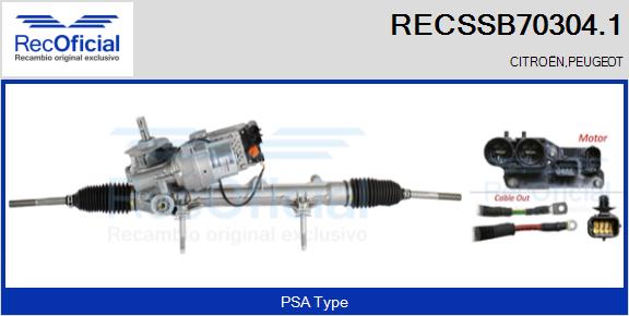 RECSSB70304.1
