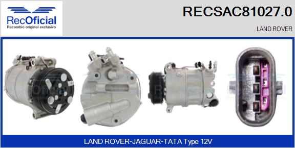 RECSAC81027.0