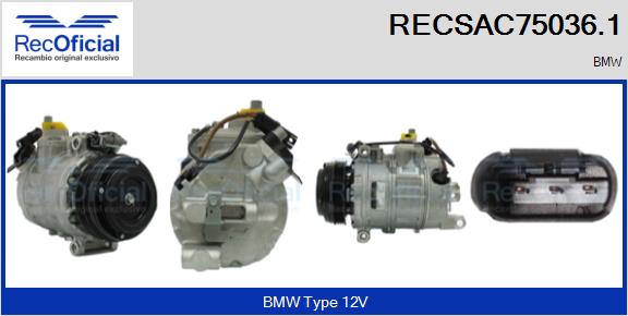 RECSAC75036.1