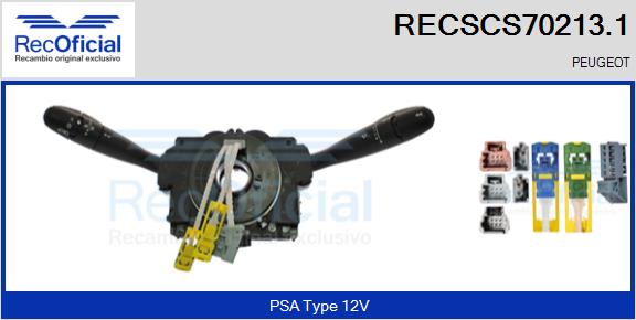 RECSCS70213.1