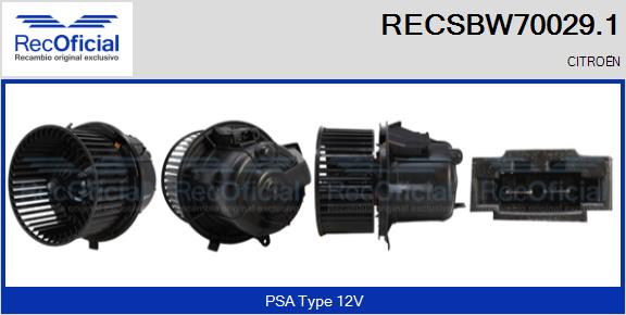 RECSBW70029.1