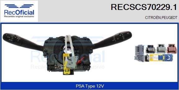 RECSCS70229.1