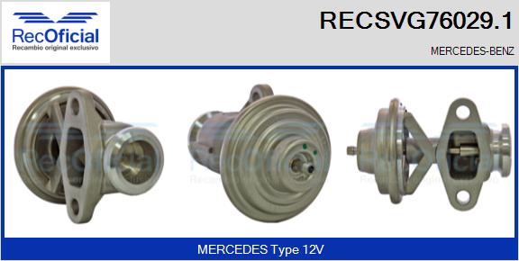 RECSVG76029.1