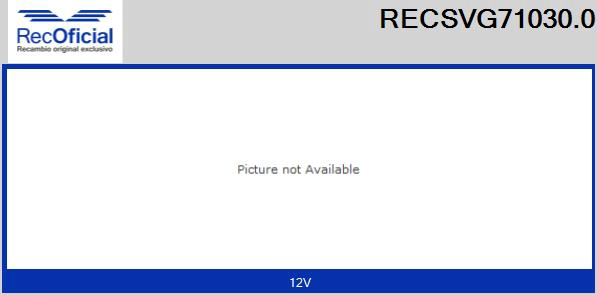 RECSVG71030.0