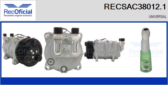 RECSAC38012.1