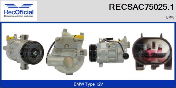 RECSAC75025.1