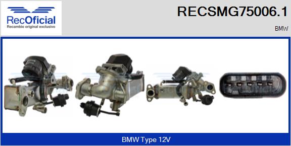 RECSMG75006.1