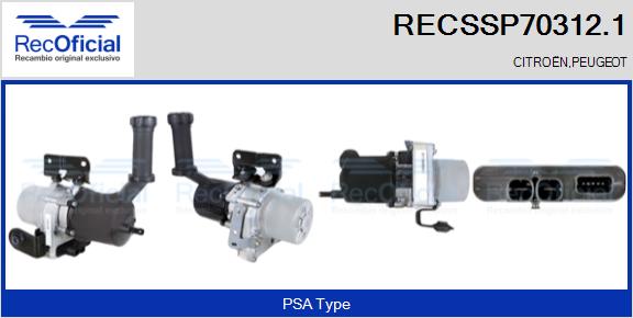 RECSSP70312.1