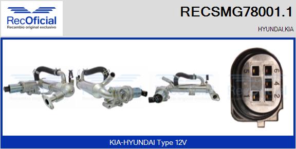RECSMG78001.1