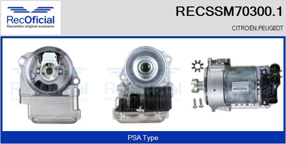 RECSSM70300.1