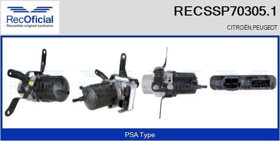 RECSSP70305.1