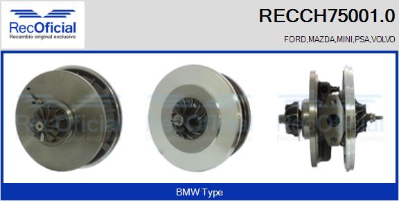 RECCH75001.0