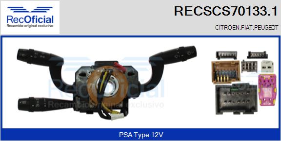 RECSCS70133.1