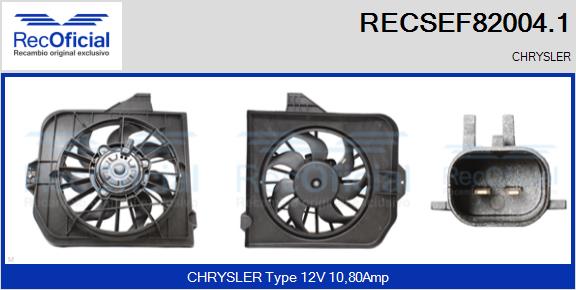 RECSEF82004.1