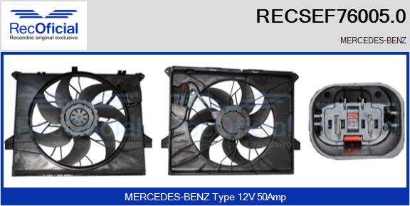 RECSEF76005.0