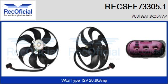 RECSEF73305.1