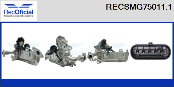 RECSMG75011.1