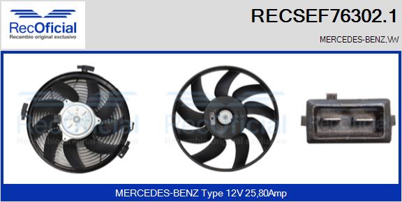 RECSEF76302.1