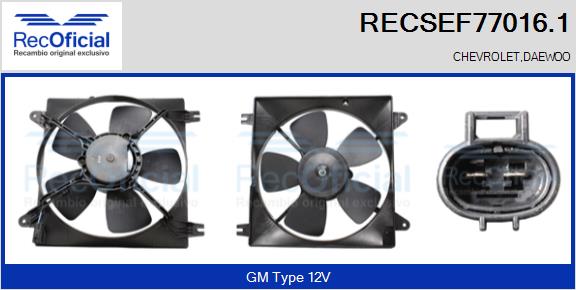 RECSEF77016.1