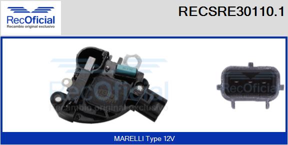 RECSRE30110.1