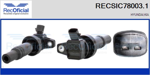 RECSIC78003.1