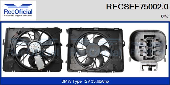 RECSEF75002.0