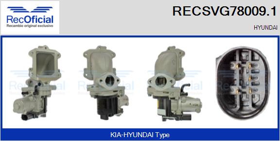 RECSVG78009.1
