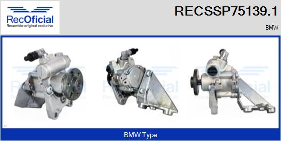 RECSSP75139.1
