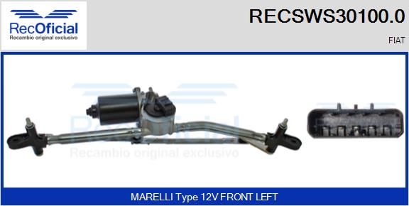 RECSWS30100.0