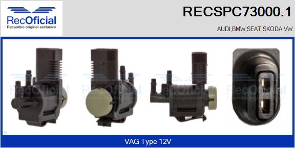 RECSPC73000.1
