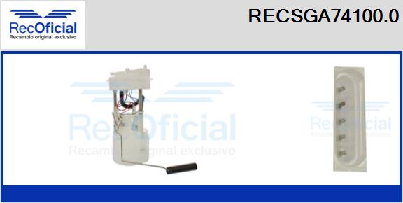 RECSGA74100.0