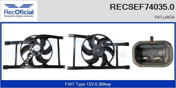 RECSEF74035.0