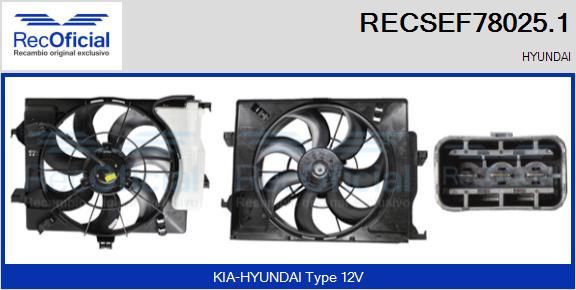 RECSEF78025.1