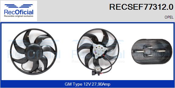 RECSEF77312.0