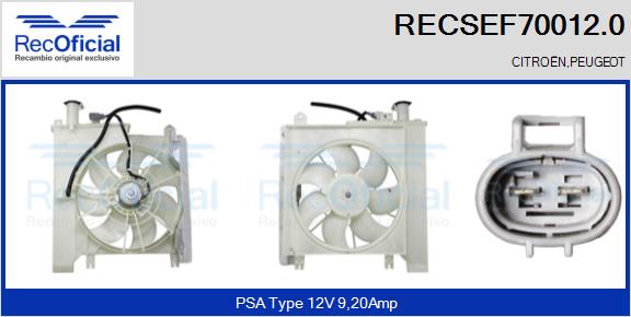 RECSEF70012.0
