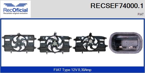 RECSEF74000.1