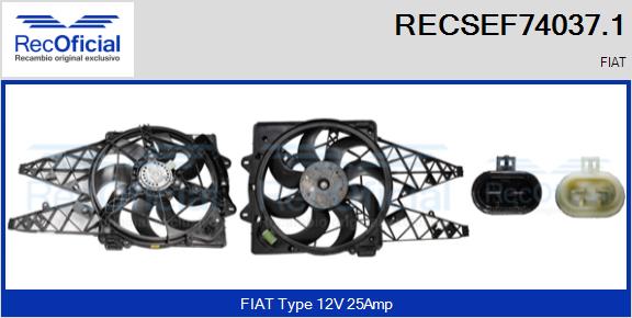 RECSEF74037.1