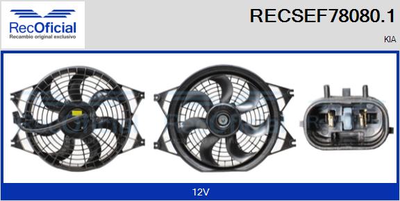 RECSEF78080.1
