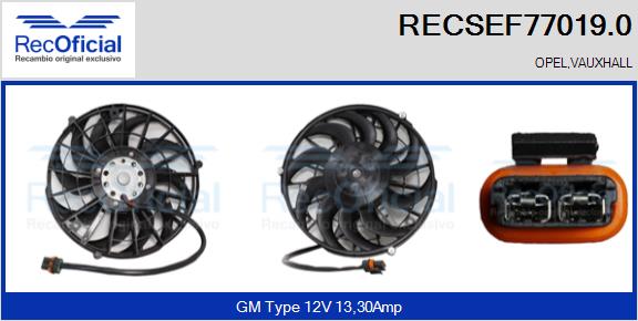RECSEF77019.0