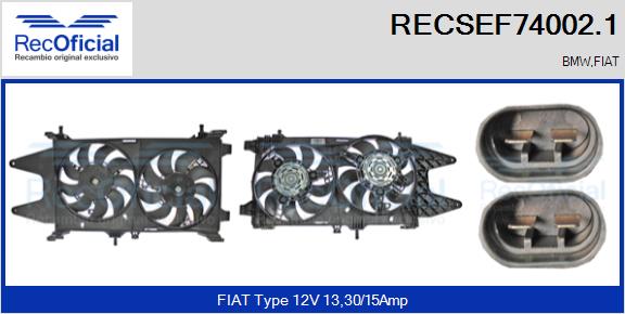 RECSEF74002.1
