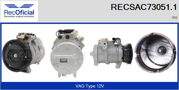 RECSAC73051.1