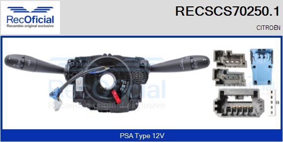 RECSCS70250.1