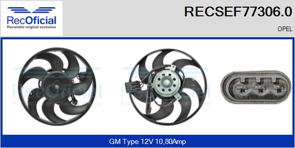RECSEF77306.0