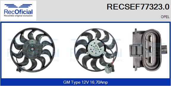 RECSEF77323.0