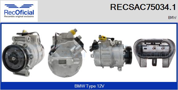 RECSAC75034.1