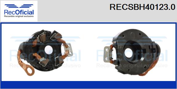 RECSBH40123.0