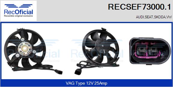 RECSEF73000.1