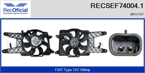 RECSEF74004.1